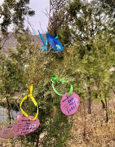 

描述已自动生成